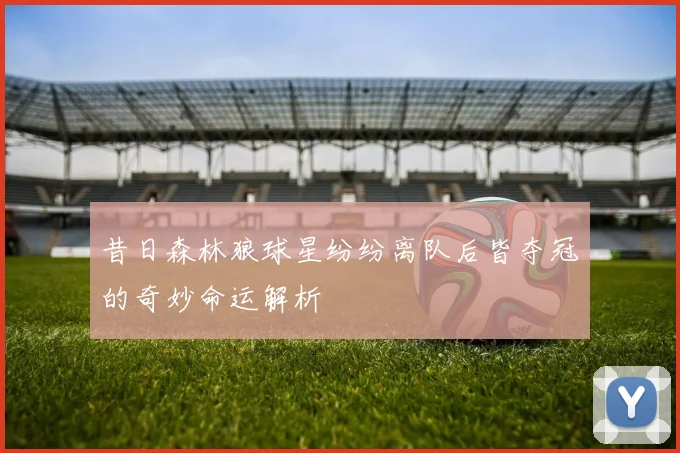 昔日森林狼球星纷纷离队后皆夺冠的奇妙命运解析